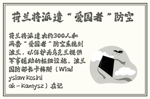 精品久久久久久综合日本